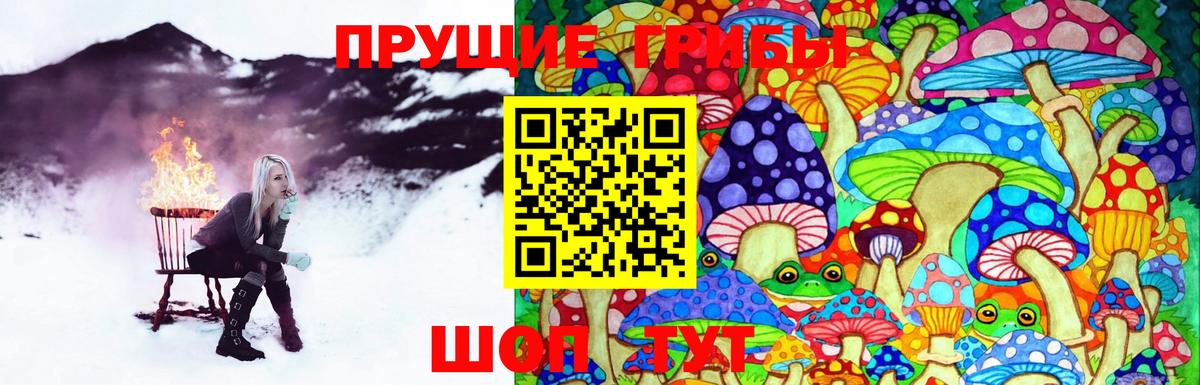 Псилоцибиновые грибы прущие грибы Чебаркуль